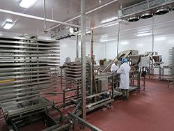 1463730590115423.jpg 加拿大凍干生產(chǎn)線項(xiàng)目現(xiàn)場-2.JPG