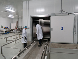 1463730592953679.jpg 加拿大凍干生產(chǎn)線項(xiàng)目現(xiàn)場-3.JPG